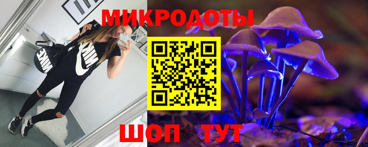 Псилоцибиновые грибы Psilocybe Арзамас