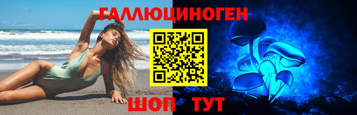 Галлюциногенные грибы Psilocybe  Вход с VPN  Галлюциногенные грибы GOLDEN TEACHER  Арзамас 